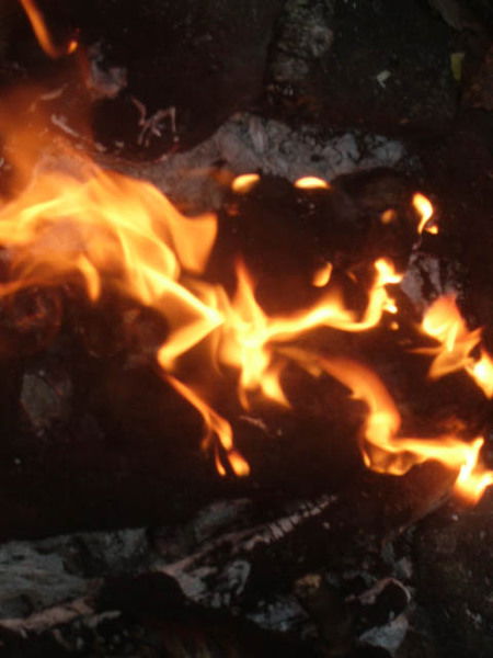 Антонина Савельева