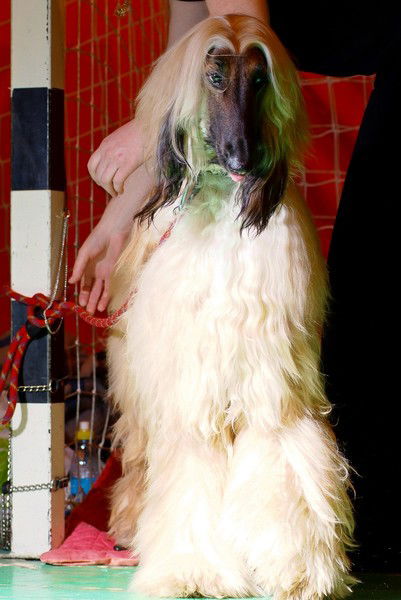 Вероника Хухрина