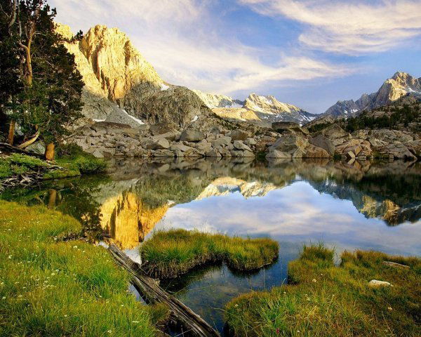 Ансори Абдулхамид