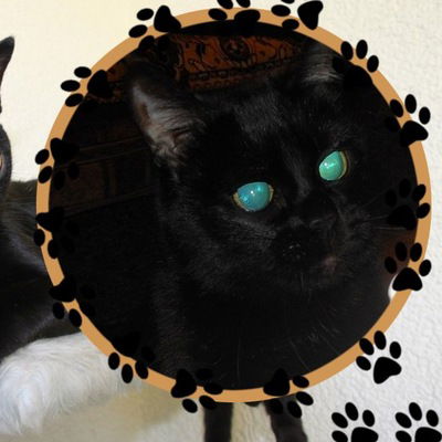 Алла Потапова