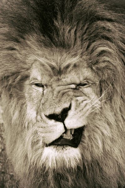 Сёма Сазанаков