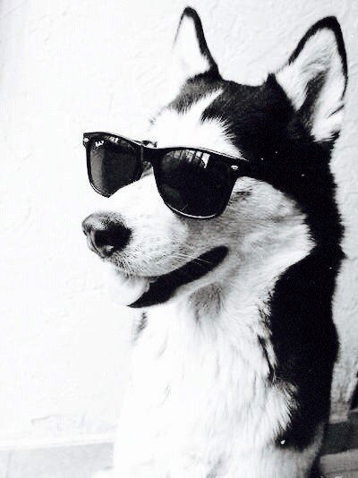 Константин Павловский