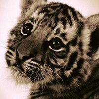 Влад Джемов