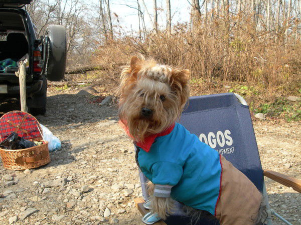 Наталья Дикарева