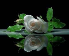 Фатима Сайлаубеккызы