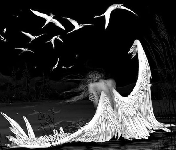 Дарья Кейси