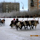 Наталия Скрынникова