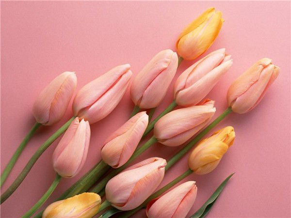 Татьяна Архипова