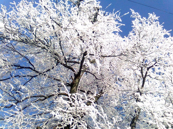 Анатолий Дорогань