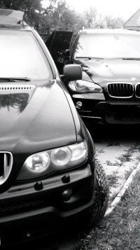 Антон Пришло