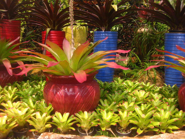 Марина Аксенова