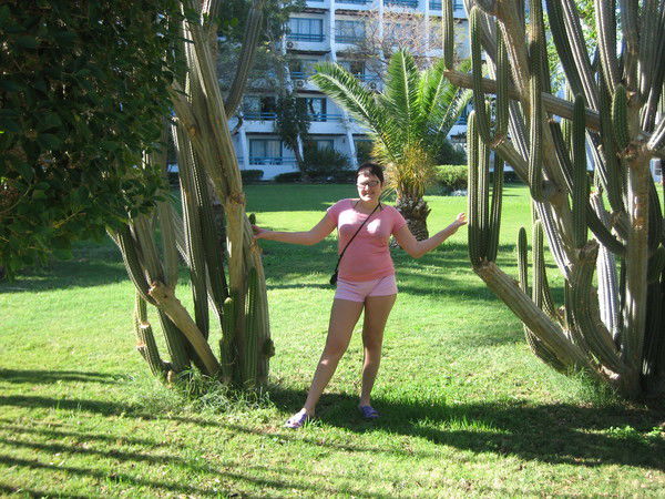 Ирина Павлова