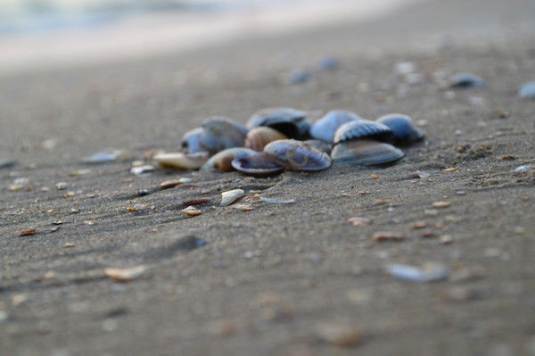 Ирина Тургенева