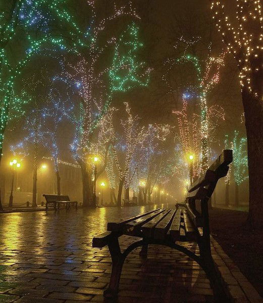 Жазира Аяпова