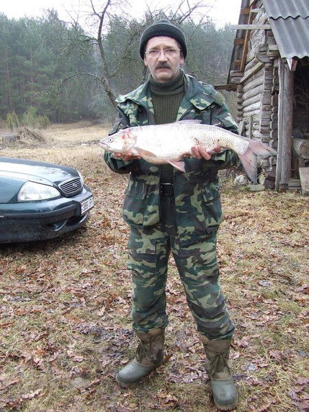 Михаил Плюта