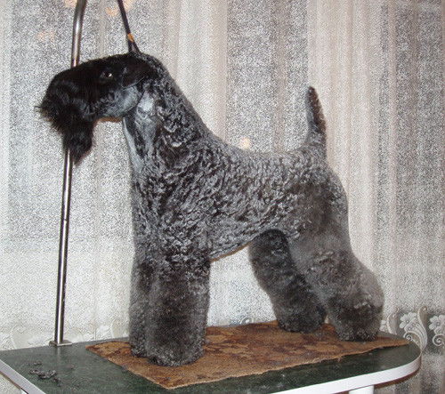 Наталья Хлебникова