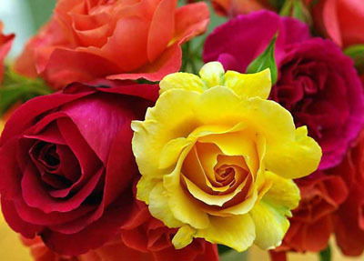 Сапура Нызанкызы