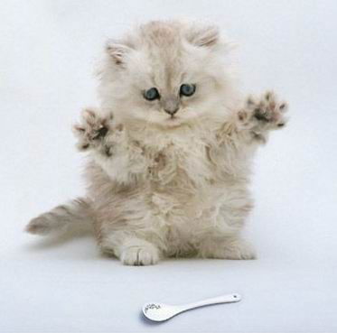 Екатерина Шереметова