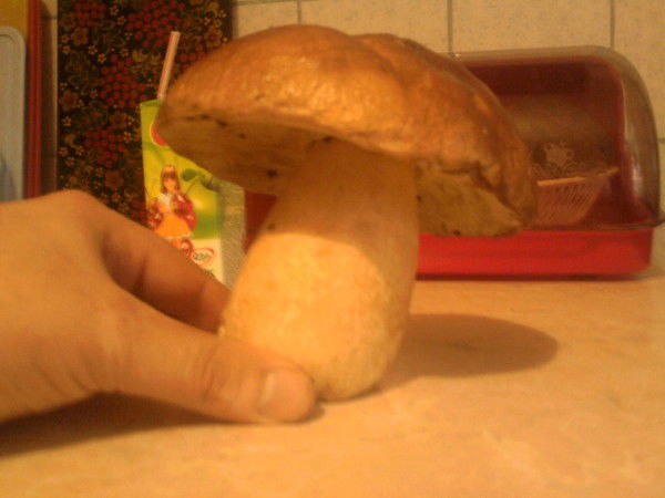 Алексей Долгов