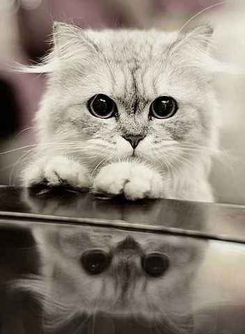 Сергей Букин