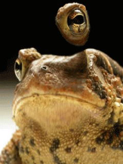 Кряжевинская Школа