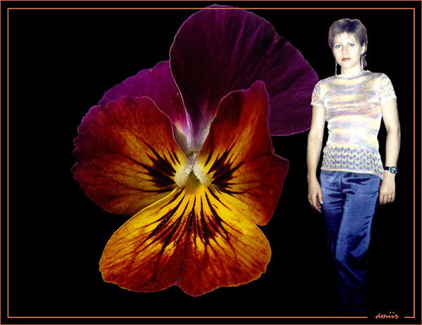 Неизвестно Неизвестно