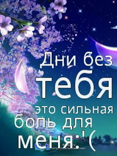 Бекхан Бекуев