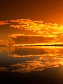 Алексей Башмачков