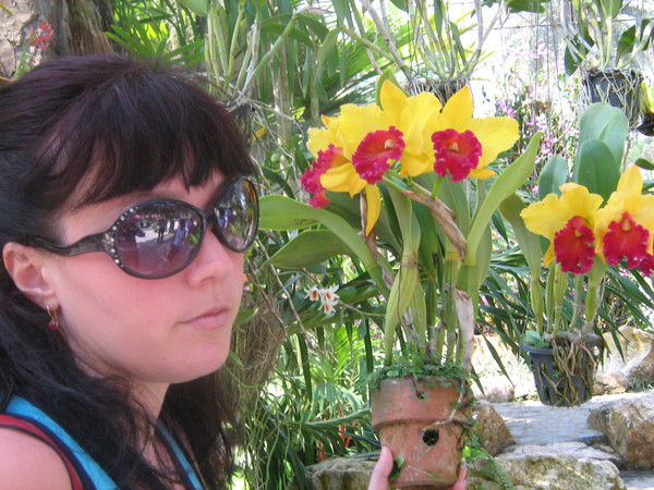 Анна Максименко