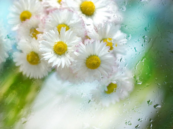 Турар Дуйсенова