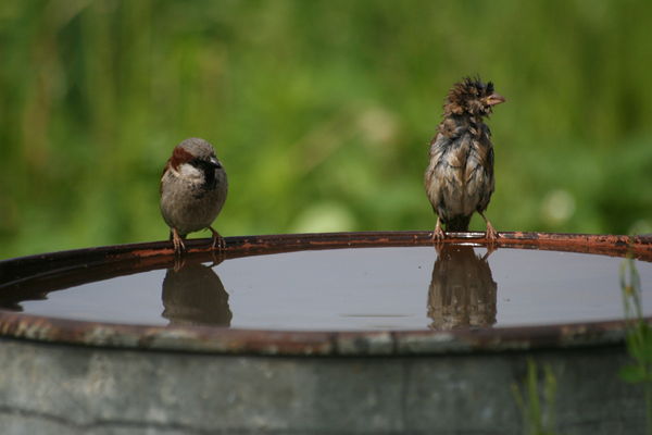 Антонина Щербакова
