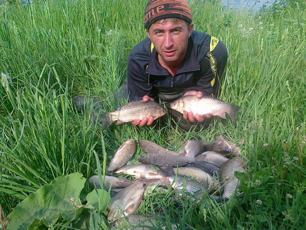 Андрей Ширяев