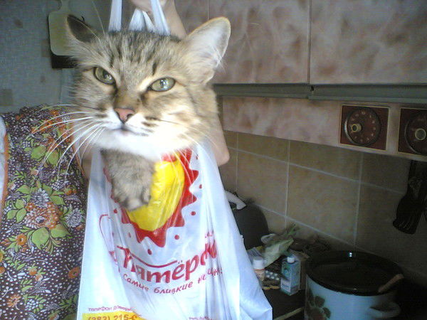 Сергей Кормилец