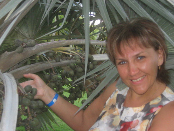 Светлана Амендт