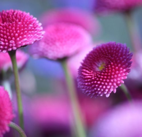 Артачль Почтаьл