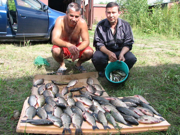 Вячеслав Пономаренко