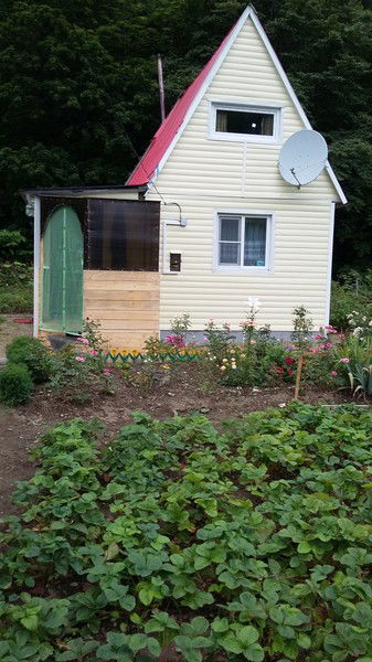 Айсылу Шетникова