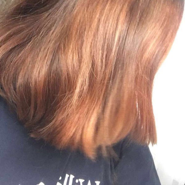 Голубь Утка