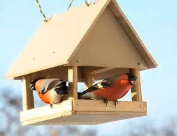 Евгений Кравец