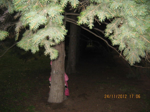 Любовь Юхина