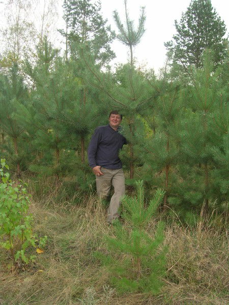 Николай Ахмадеев