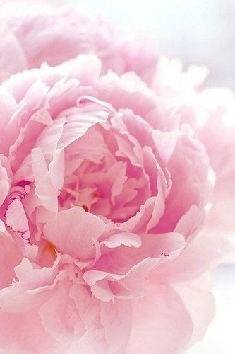 Наталья Мазурина