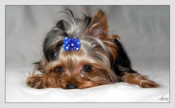 Екатерина Терехина