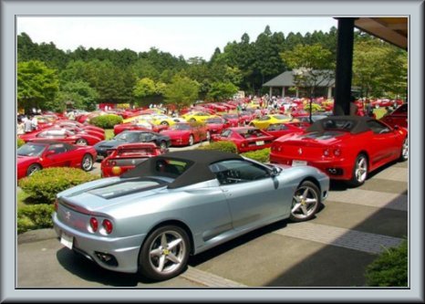 Ольга Привалова