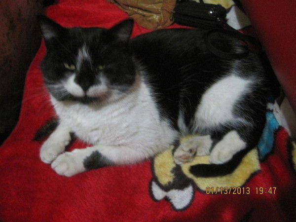 Виктория Багрий