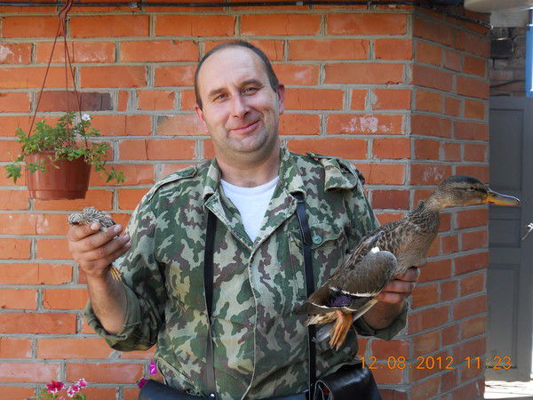 Сергей Коротенко