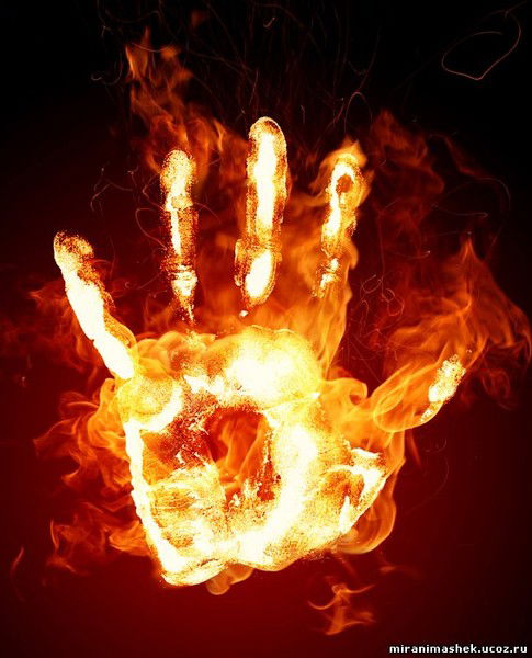 Евгений Алексеев