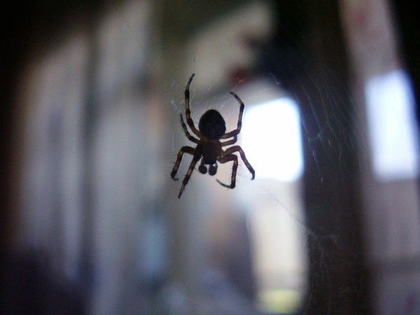 Иван Иванов