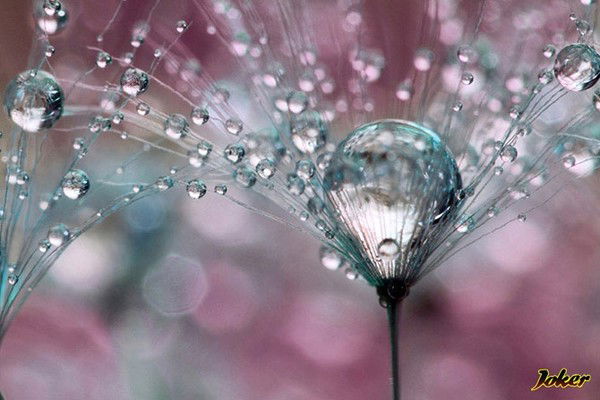 Зинаида Чемокина