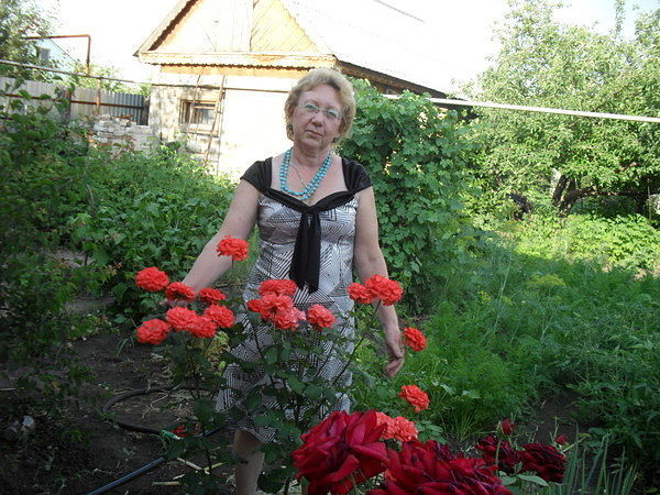 Любовь Дворянчикова